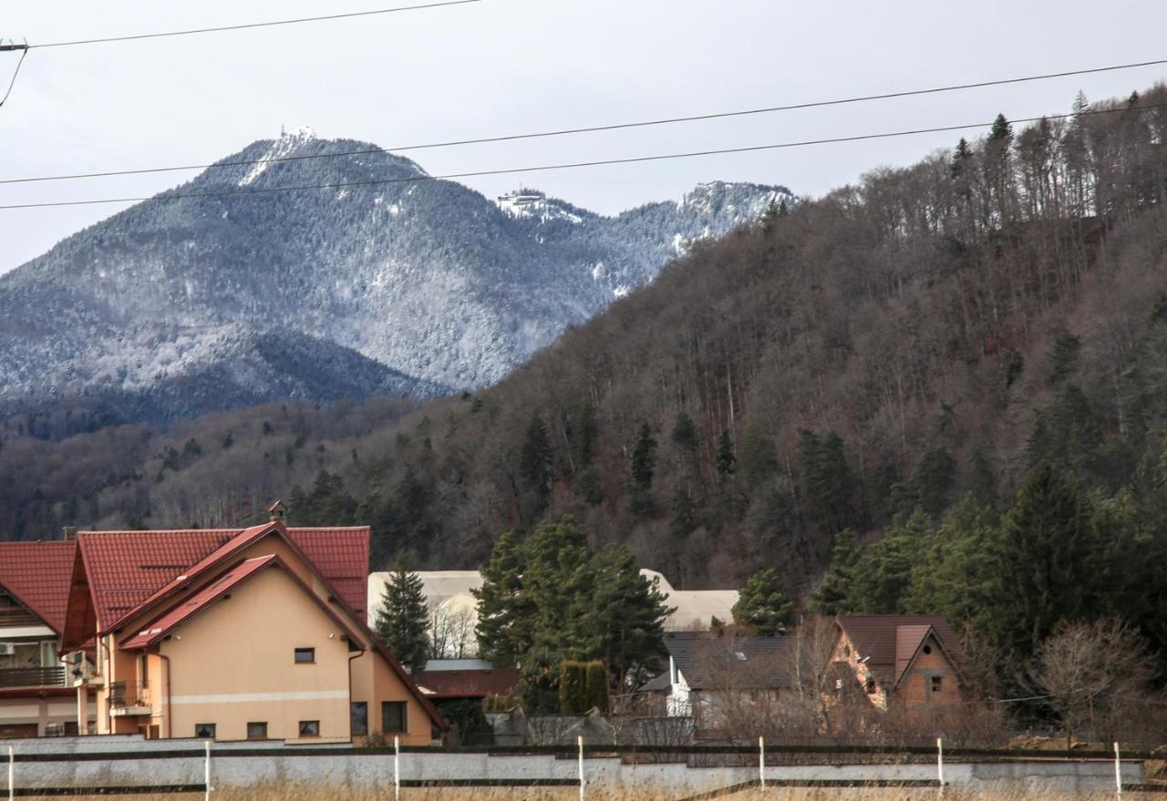 Carpen View Residence Săcele Екстериор снимка
