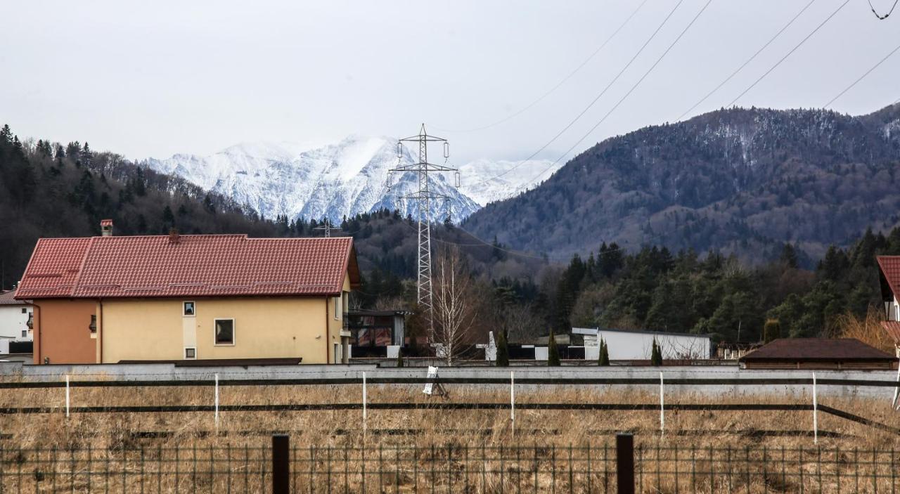 Carpen View Residence Săcele Екстериор снимка