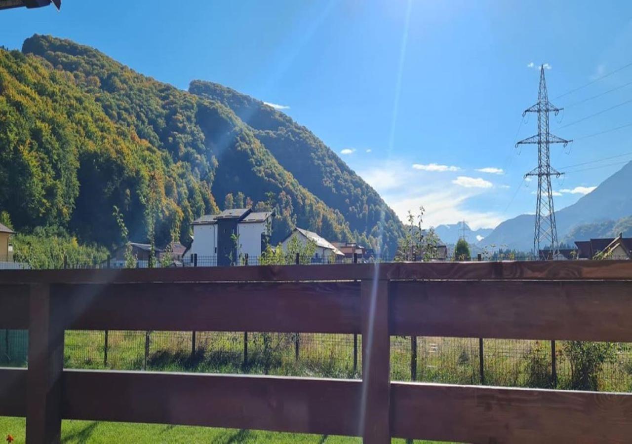 Carpen View Residence Săcele Екстериор снимка