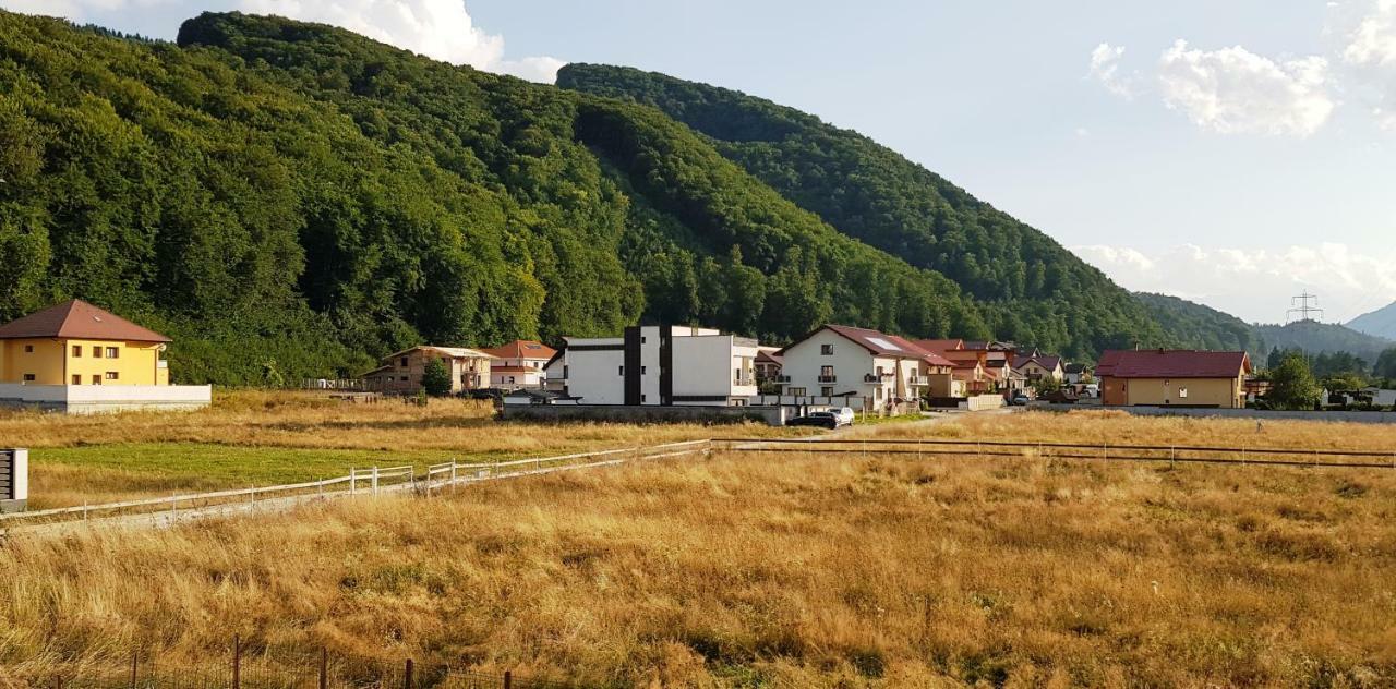 Carpen View Residence Săcele Екстериор снимка